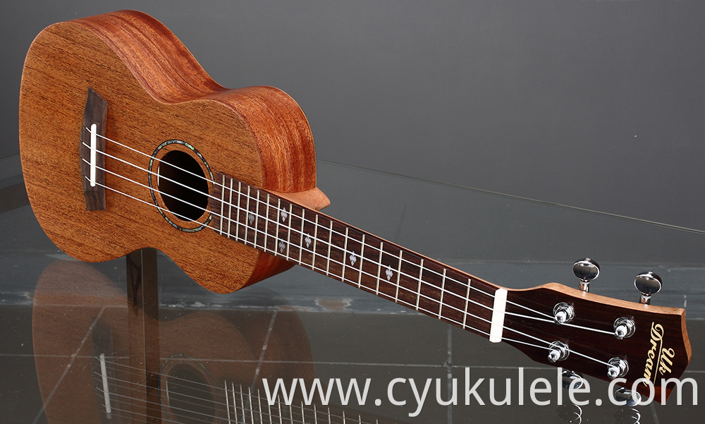 ukulele17